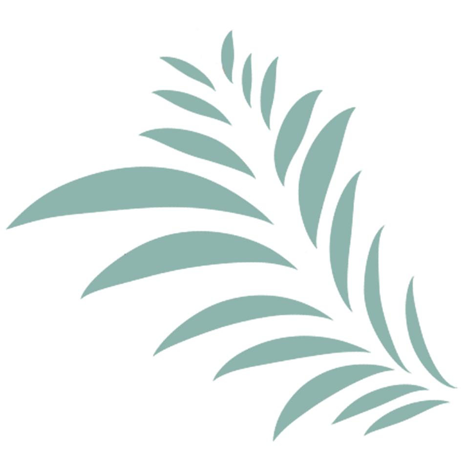 Décoration graphique représentant une feuille, chkola lyon